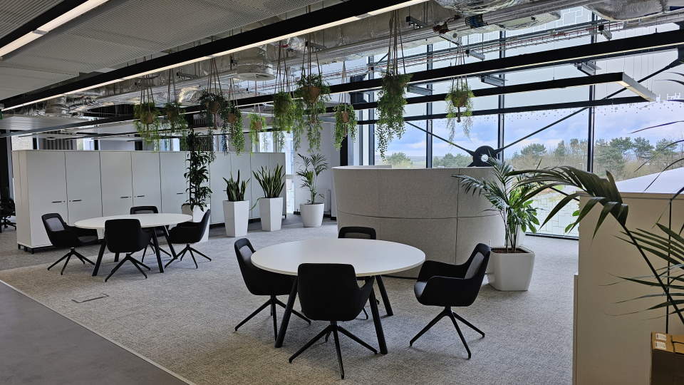 Office space with large windows, desks, chairs and plants